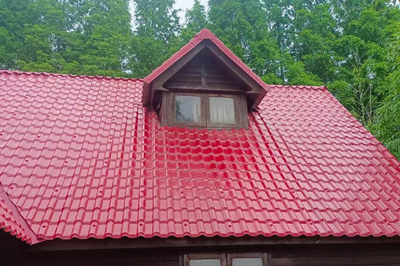 Mezinárodní případy