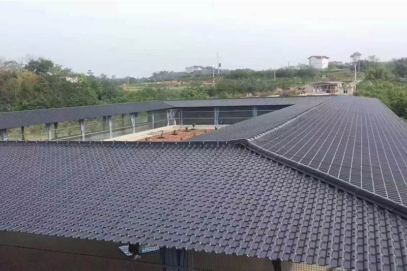 Projektové případy